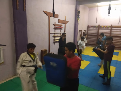 Dojo Martial Arts System (AMAS Fitness Center) - Centro #2, Centro, 47000 San Juan de los Lagos, Jal., Mexico