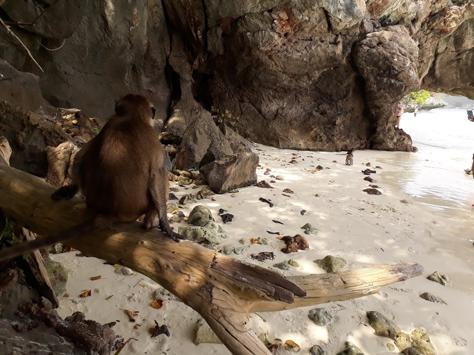 Monkey Bay Beach photo #8