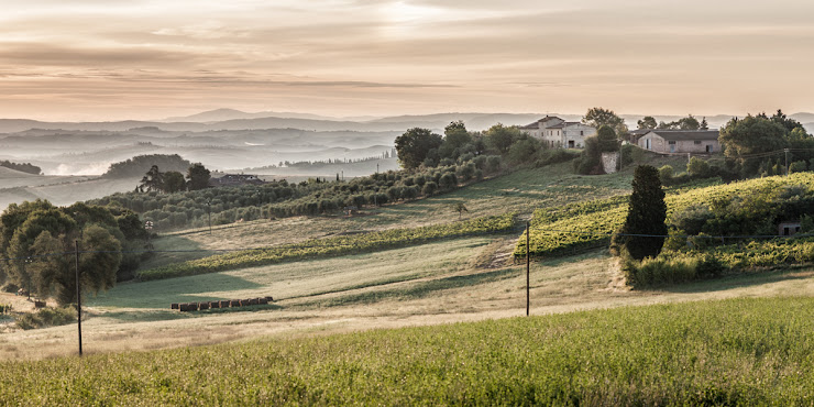 Photos du propriétaire Chambre d'hôtes Agriturismo Andreini 53014 Monteroni d'Arbia