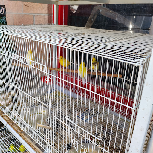 Animal Feed Store «Whittier Feed Store», reviews and photos, 12618 Penn St, Whittier, CA 90602, USA