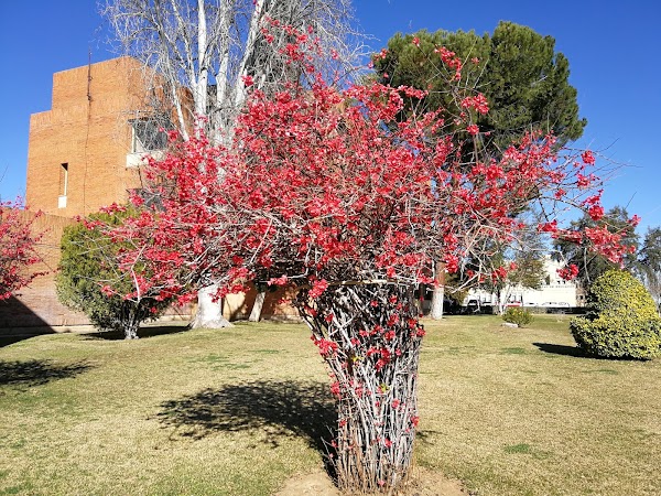 Universidad de Extremadura - Campus Badajoz