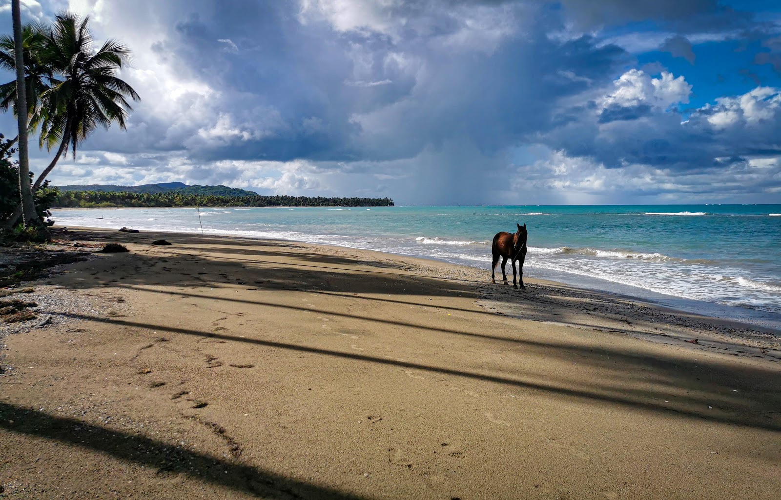 Fotografija Playa Magante udobje območja