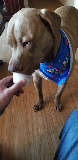 Pet Supply Store «3 Dogs and a Chick», reviews and photos, 130 Miracle Strip Pkwy SE, Fort Walton Beach, FL 32548, USA