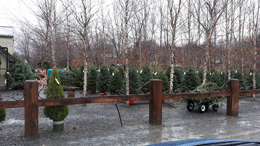 Florist «The Garden», reviews and photos, 155 Main St N, Woodbury, CT 06798, USA