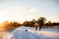 Peter Greeno Weddings - Photo 4 - Car repair in Portland, ME, Portland