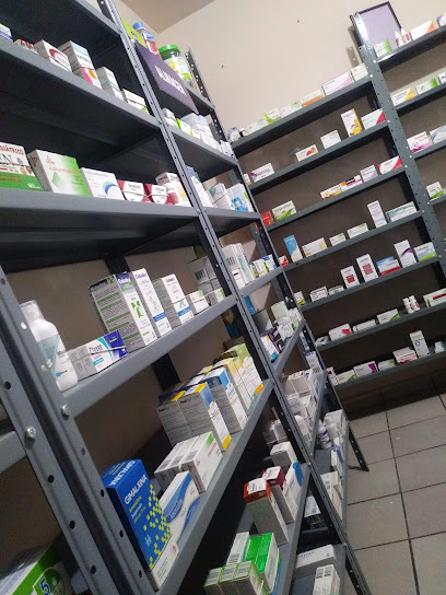 Farmacia Matamoros, , Adolfo Castillo Siller