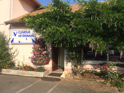 Clinique Vétérinaire Delsaut à Valdoie