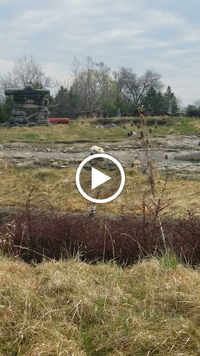 Zoo «Arctic Ring of Life», reviews and photos, 8450 W 10 Mile Rd, Royal Oak, MI 48067, USA