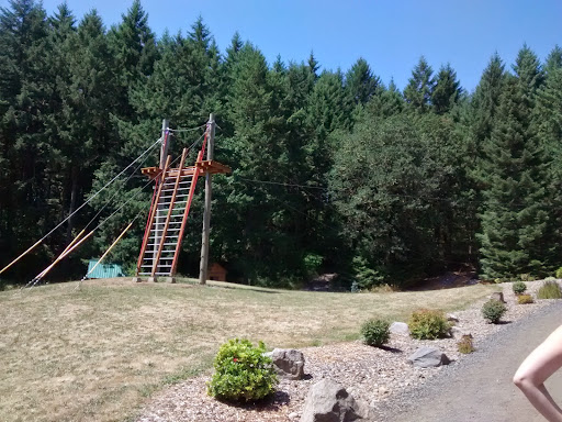 Tourist Attraction «Tree to Tree Adventure Park», reviews and photos, 2975 SW Nelson Rd, Gaston, OR 97119, USA