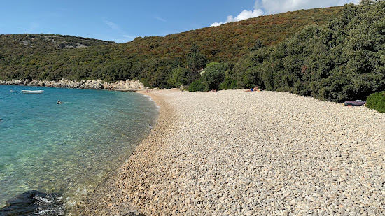 Beach Veli Zal