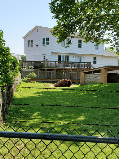 Wildlife Park «Wildlife & Ecology Center», reviews and photos, 249 Buckley Rd, Holtsville, NY 11742, USA