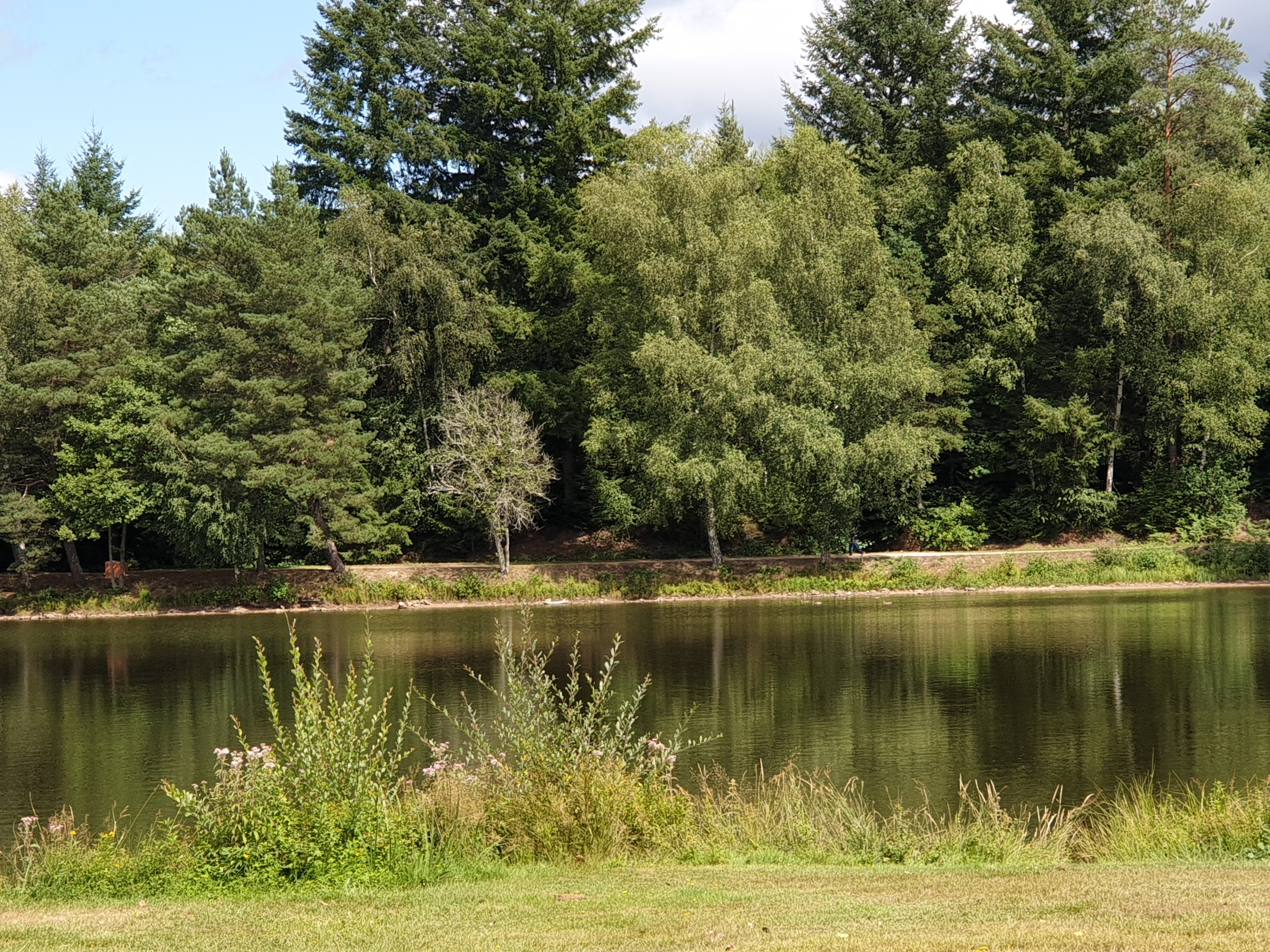 Photo n° 2 de l'avis de Danielle.o fait le 17/08/2019 à 10:19