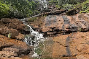 Pawana Lake Waterfall image