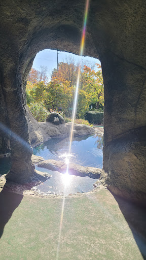 Amusement Park «Magic Mountain Fun Center - Polaris», reviews and photos, 8350 Lyra Dr, Columbus, OH 43240, USA