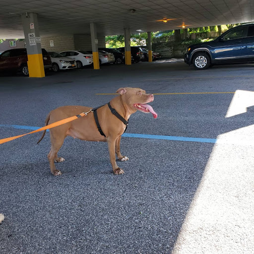 81 Old Shore Rd, Port Washington, NY 11050, USA