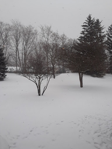 Park «Victoria Park», reviews and photos, 1100 Kingsdale Rd, Hoffman Estates, IL 60169, USA