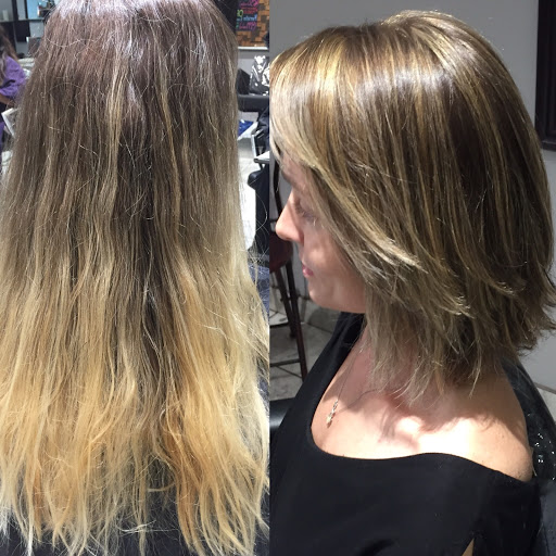 Hair Salon «Sahara Hair Salon», reviews and photos, 435 Amwell Rd #9, Hillsborough Township, NJ 08844, USA