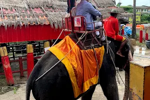 Elephant Village Ayutthaya image