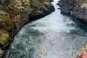 Stamp River Provincial Park image