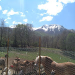 Photo n°4 de l'avis de Simonetta.u fait le 25/04/2018 à 13:01 sur le  Ristorante La Tana Del Lupo à Albaneto