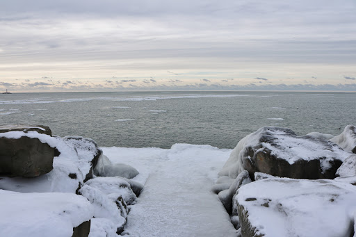 Nature Preserve «Cleveland Lakefront Nature Preserve», reviews and photos, 8701 Lakeshore Blvd, Cleveland, OH 44108, USA