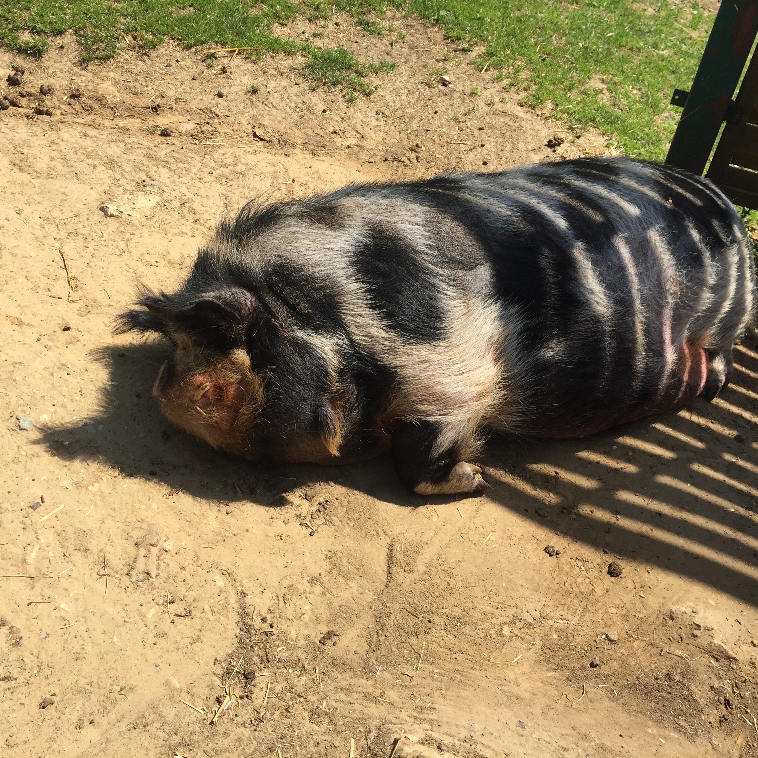 Photo n° 5 de l'avis de lou.o fait le 21/04/2018 à 14:21