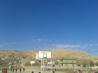 Cevizlik İlköğretim Okulu