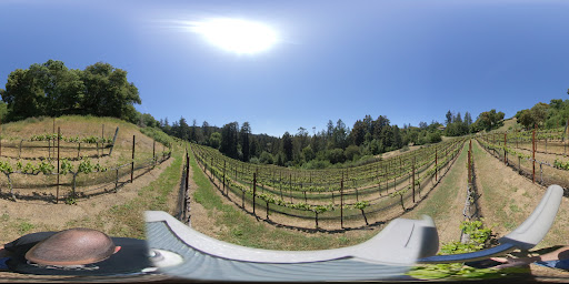 Winery «Regale Winery and Vineyards», reviews and photos, 24040 Summit Rd, Los Gatos, CA 95003, USA