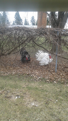 Golf Course «Dwan Golf Club», reviews and photos, 3301 W 110th St, Bloomington, MN 55431, USA