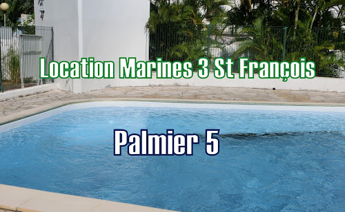 Palmier 5 Marines St François à Saint-François