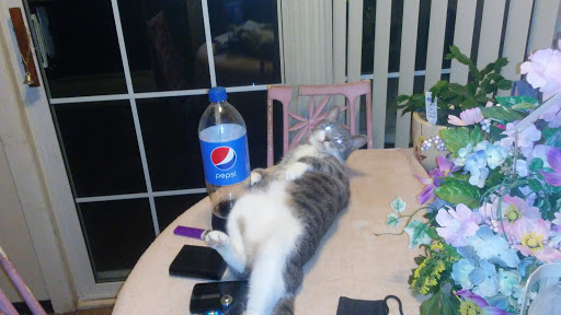 Discount Store «Big Lots», reviews and photos, 311 Deo Dr, Newark, OH 43055, USA