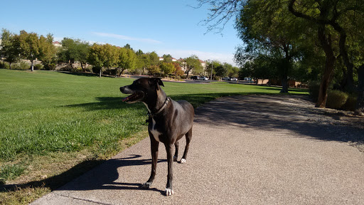 Park «Pueblo Park», reviews and photos, Peublo Vista Dr, Las Vegas, NV 89128, USA