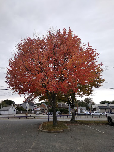 State Park «Lowell Heritage State Park», reviews and photos, 160 Pawtucket Blvd, Lowell, MA 01854, USA