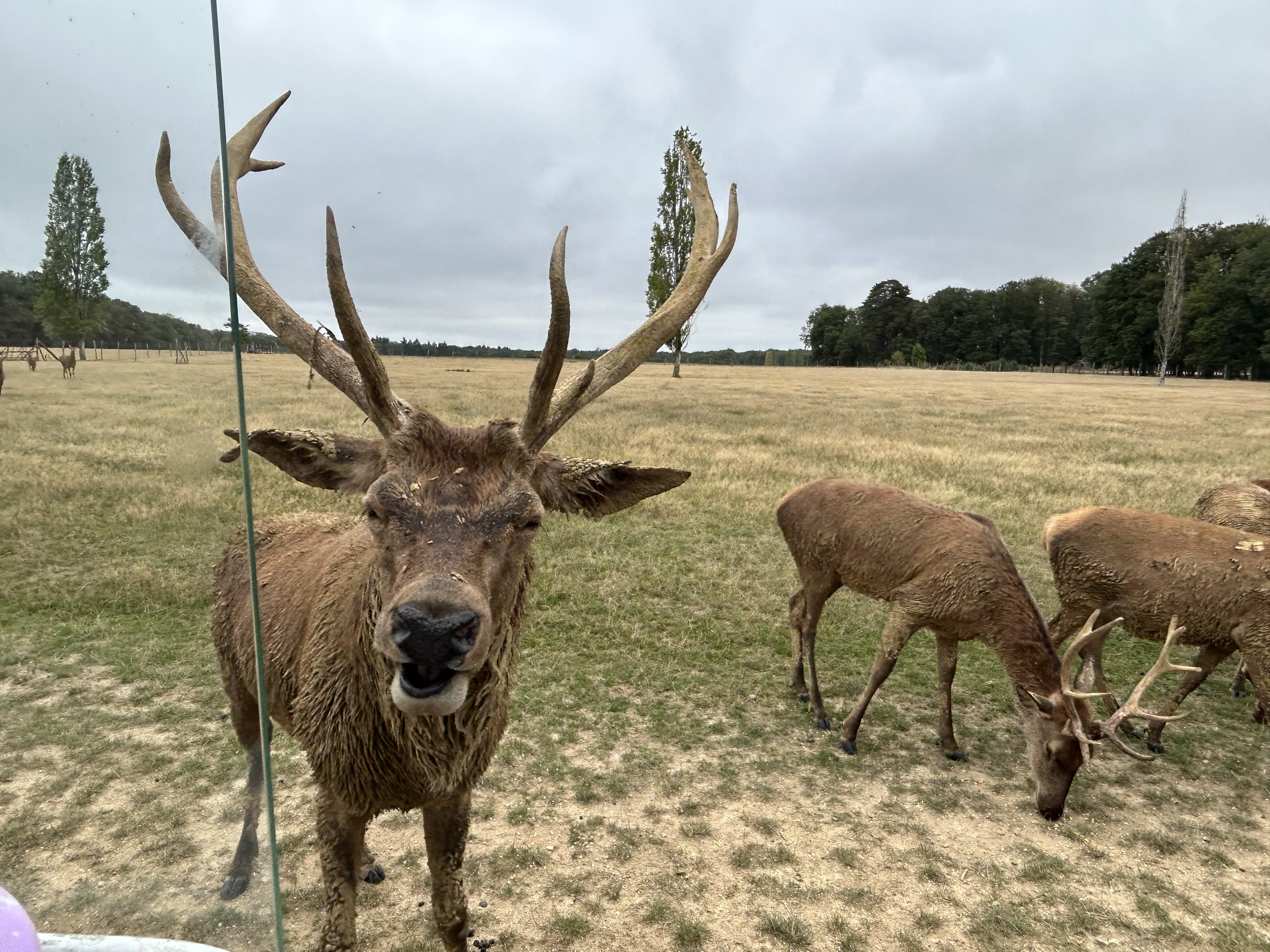 Photo n° 5 de l'avis de Nicole.o fait le 11/08/2023 à 19:50