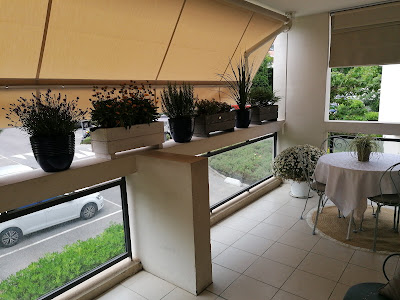 Gilles Stores à Le Cannet