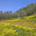 Photo n°14 de l'avis de Giorgio.a fait le 10/05/2018 à 12:52 sur le  Agriturismo Valverde à Villaga