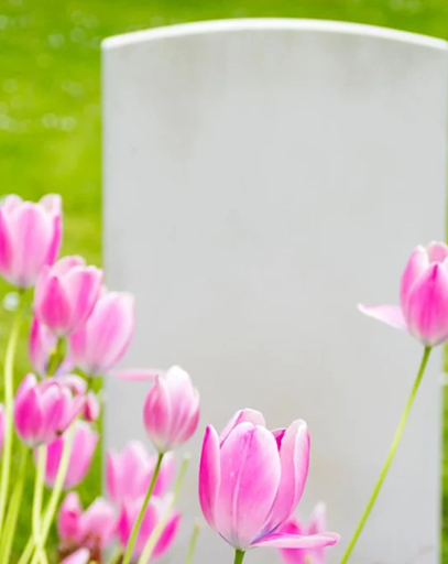 Funeral Home «Howard K. Hill Funeral Services», reviews and photos, 1287 Chapel St, New Haven, CT 06511, USA