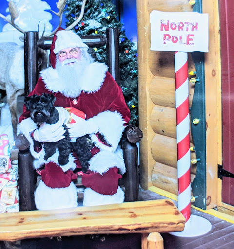 Sporting Goods Store «Bass Pro Shops», reviews and photos, 1000 Bass Pro Dr NW, Altoona, IA 50009, USA