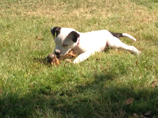 Park «Cocoa Riverfront Park», reviews and photos, 401 Riveredge Blvd, Cocoa, FL 32922, USA