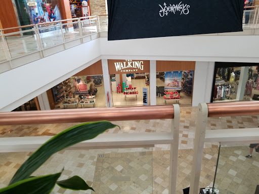 Shopping Mall «Chandler Fashion Center», reviews and photos, 3111 W Chandler Blvd, Chandler, AZ 85226, USA