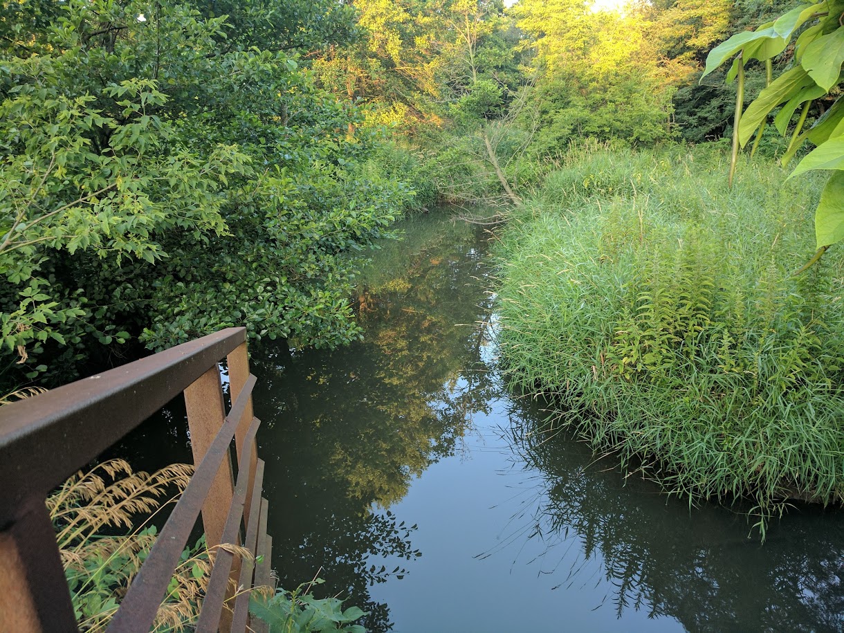 Springbrook Prairie Forest Preserve