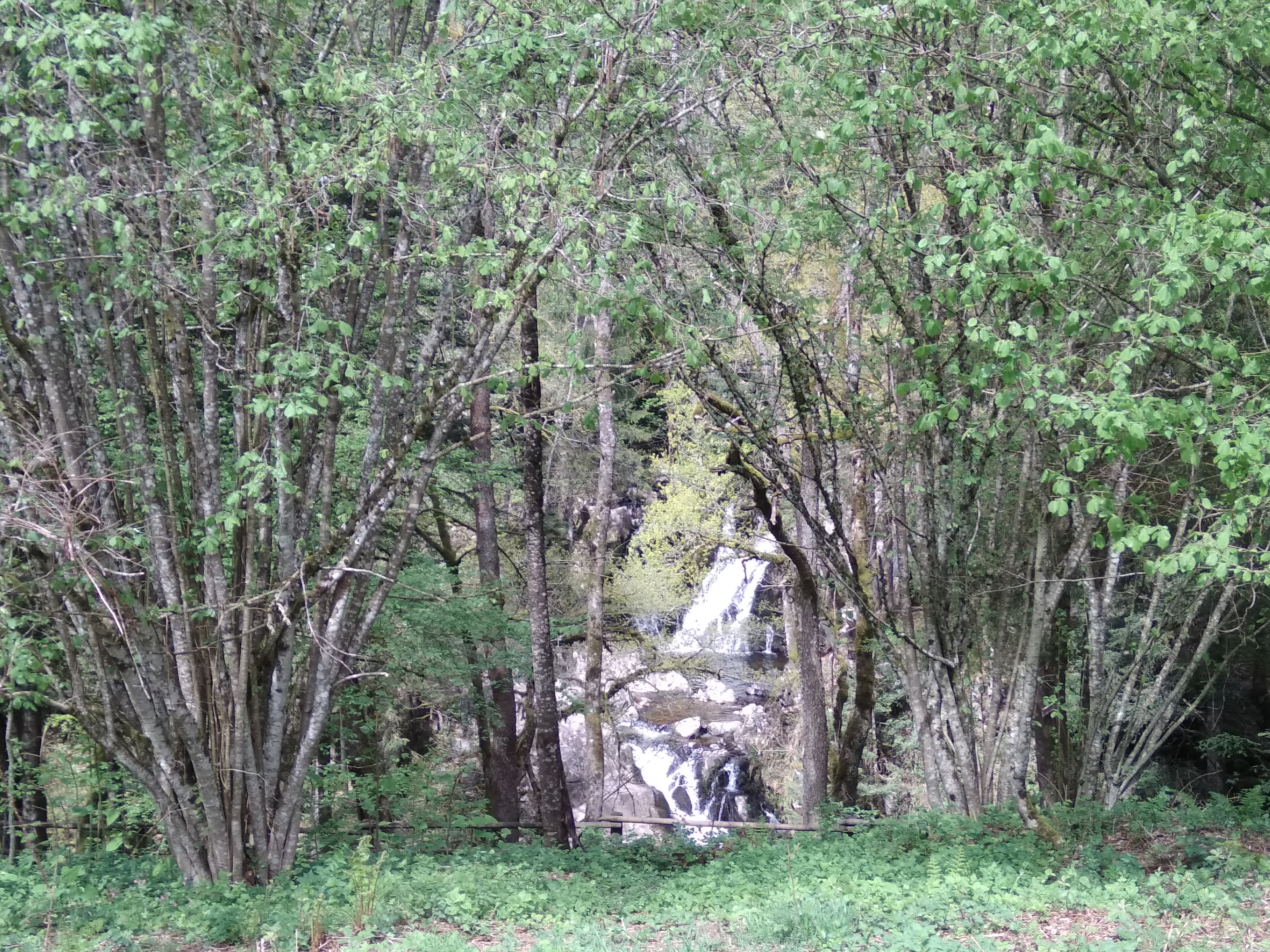 Photo n° 22 de l'avis de Vanessa.. fait le 26/04/2018 à 20:21