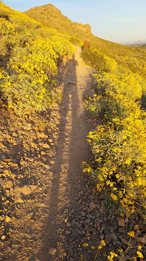 Park «Lookout Mountain Preserve», reviews and photos, 15800 N 16th St, Phoenix, AZ 85022, USA