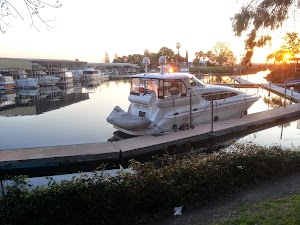 Nelson Park - photo 46