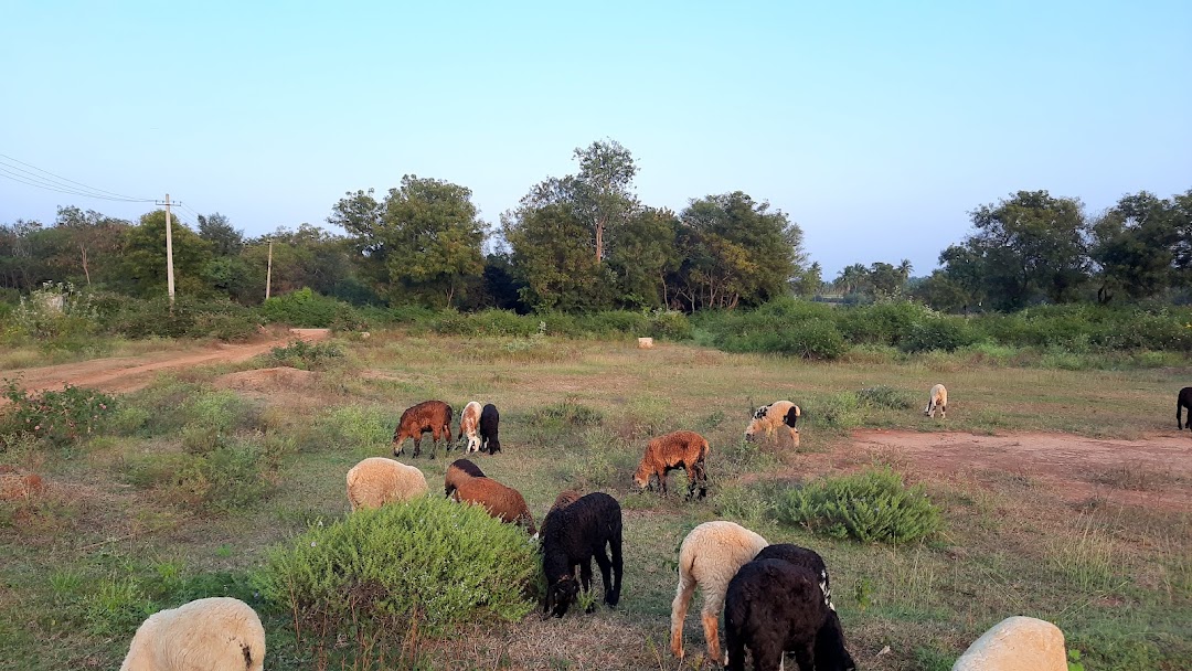 ಹೋನ್ನೇನ್ನಹಳ್ಳಿ