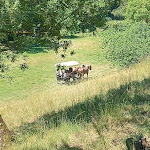 Photo n° 1 de l'avis de J. fait le 21/06/2021 à 06:15 pour La Chute du Grand Baou à Le Val