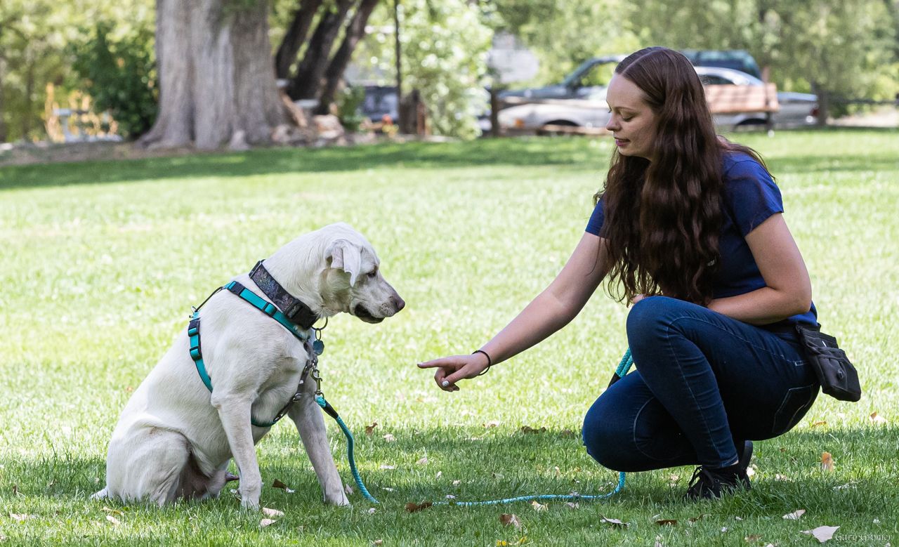 A Paws to Learn