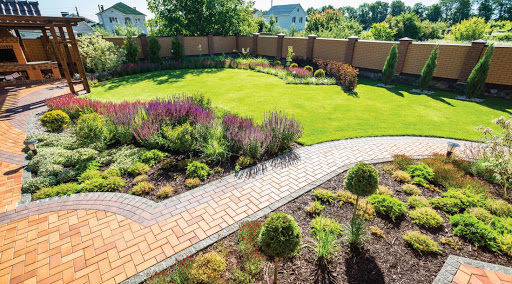 Safe Trees And Garden Services