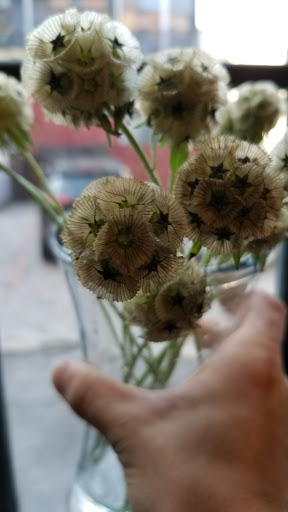 Event Planner «Beautiful Blooms Events», reviews and photos, 1016 New Market St, Philadelphia, PA 19123, USA