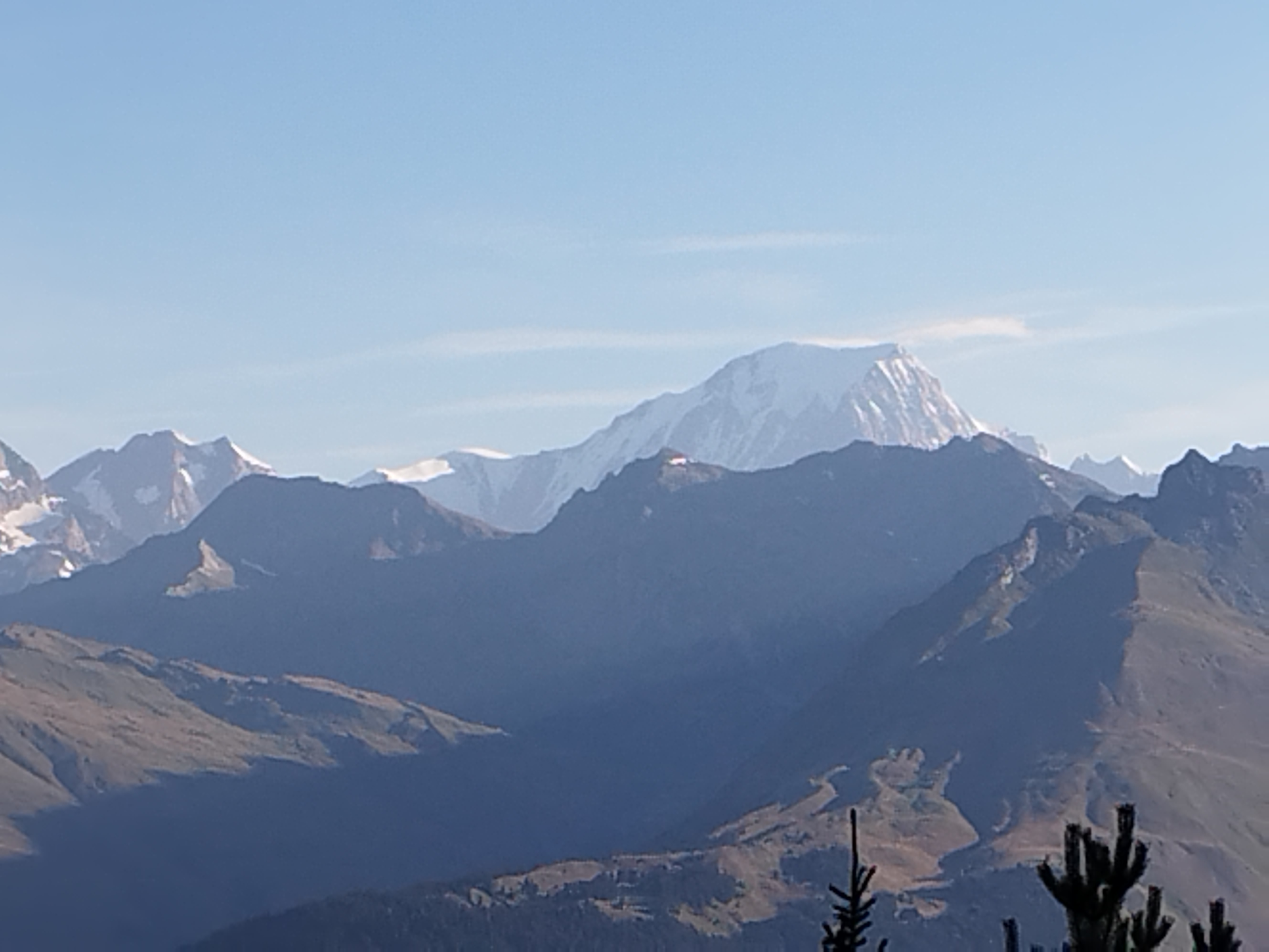 Photo n° 3 de l'avis de CARLI. fait le 19/08/2023 à 08:04